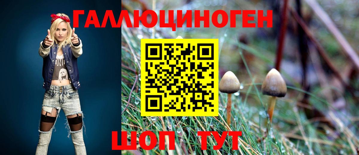 Галлюциногенные грибы MAGIC MUSHROOMS  Псилоцибиновые грибы прущие грибы  Вход с VPN  Нижневартовск 